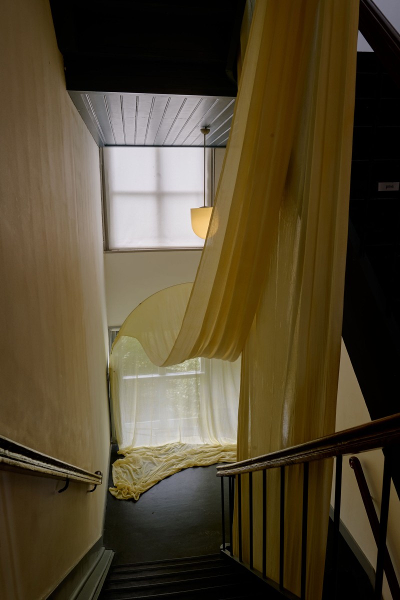 Sol Archer, <em>Ten Thousand Summers Stolen Sun</em>, 2023, “It hûs is net ien” at Kunsthuis SYB, 2024. Photo: Sjoerd Knol.